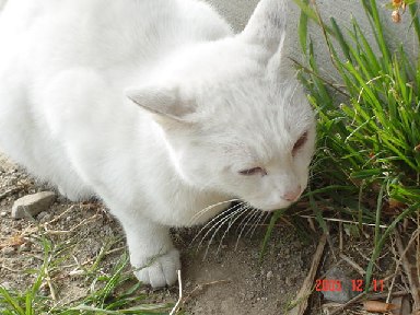 DSC00956.JPG
