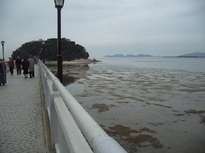 88c0.jpg